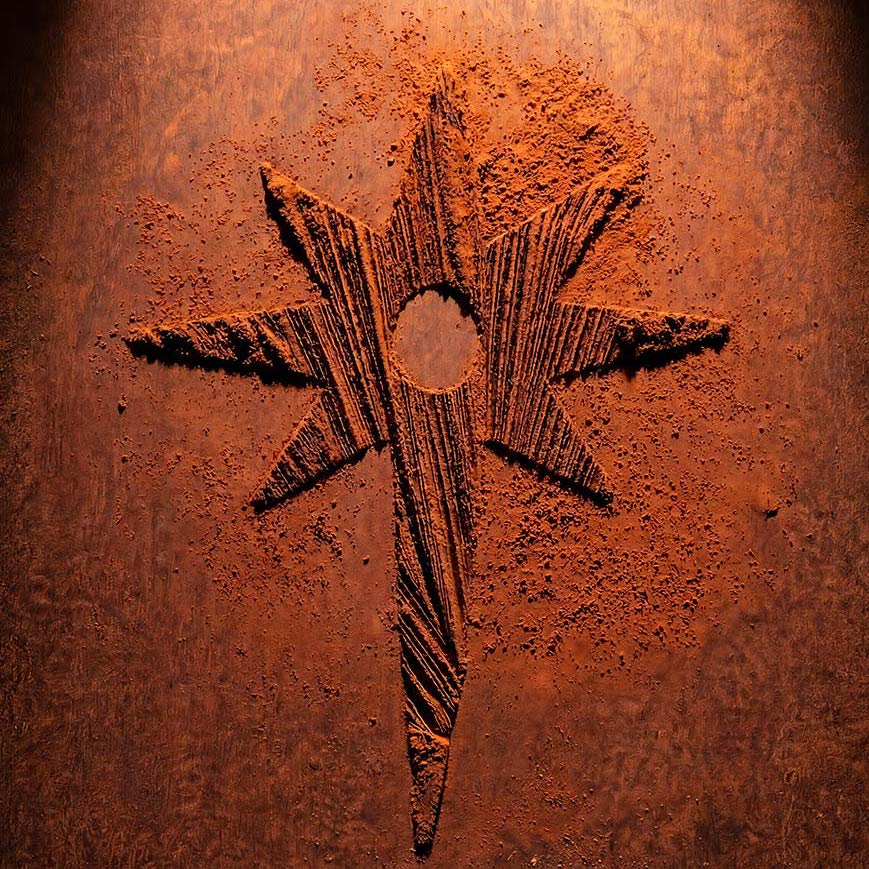 logo andromède chocolaterie dans poudre de cacao